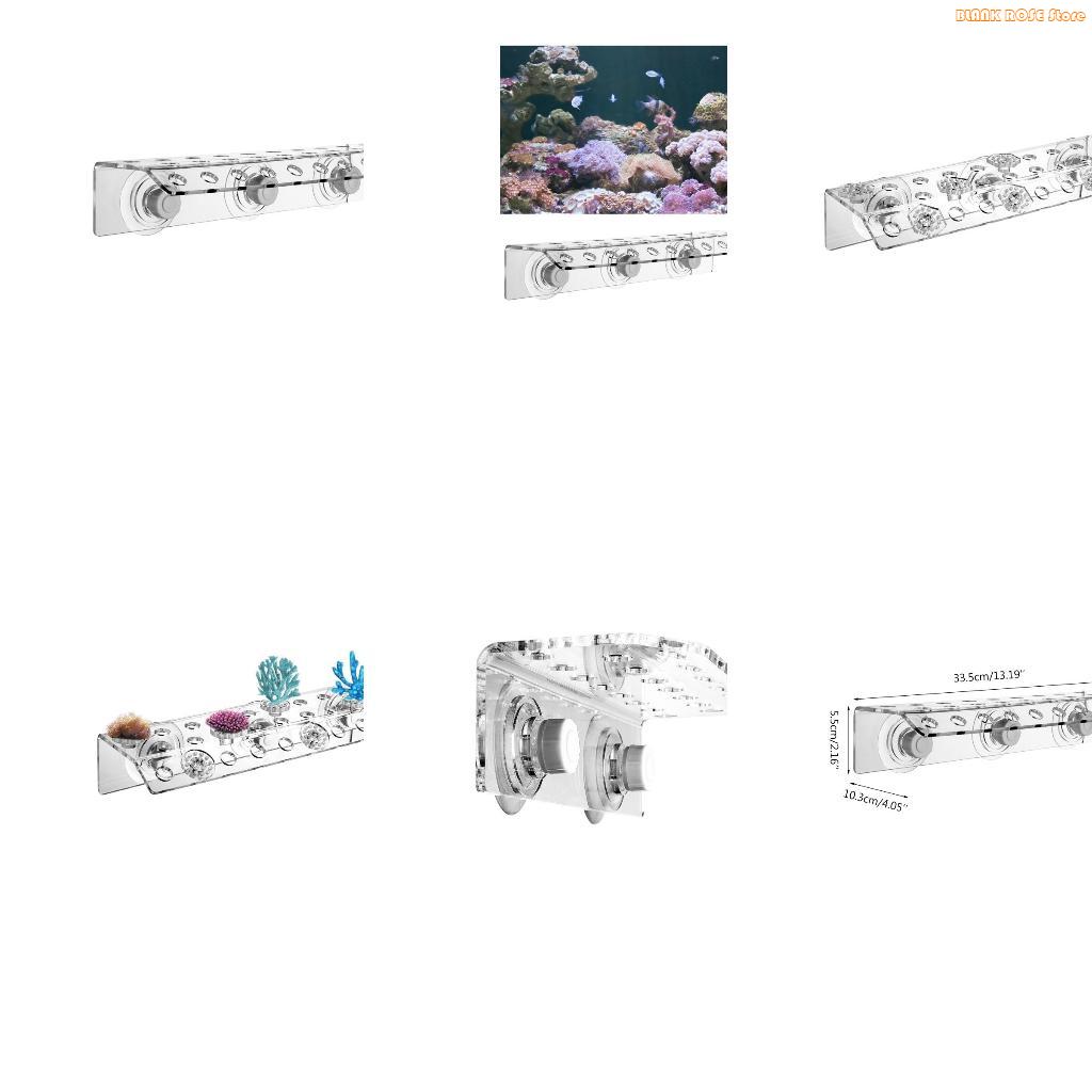 Reef Aquarium - Estante acrílico K1AE para fragmentos Coral
