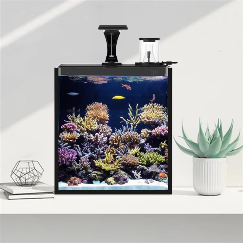 Acuario Marino de Agua Salada  - Marine Aquarium Cube reseña y precio