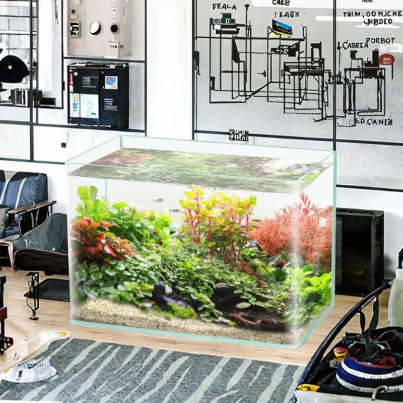 Caja de embalaje para acuario  - Saltwater Tank reseña y precio