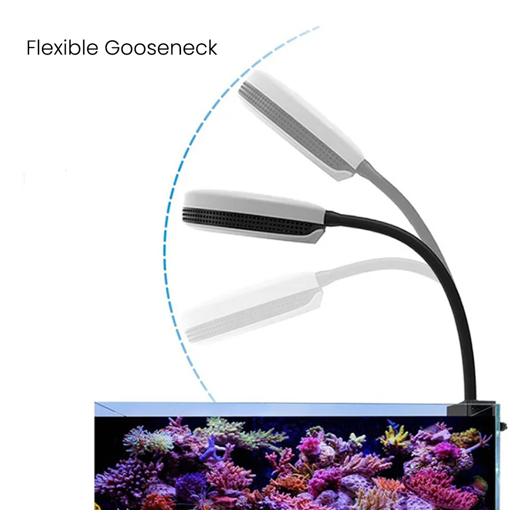 Lámpara LED para Acuario Spect - Reef Lighting reseña y precio