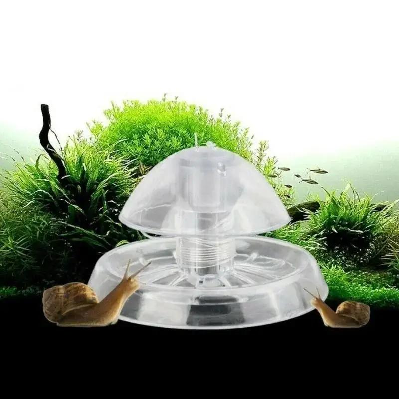 Nueva Trampa para Caracoles de - Marine Aquarium reseña y precio