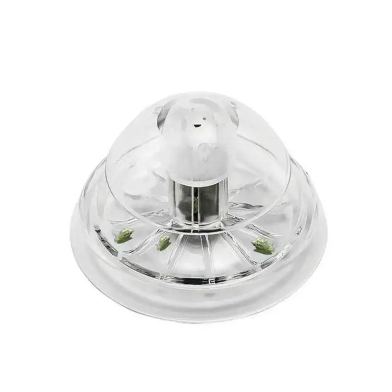 Nueva Trampa para Caracoles de - Marine Aquarium reseña y precio