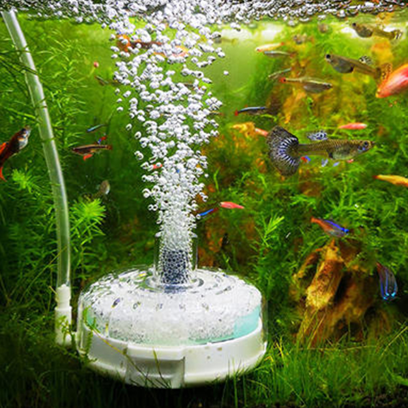 【B】Filtro para acuarios, bomba - Saltwater Tank reseña y precio