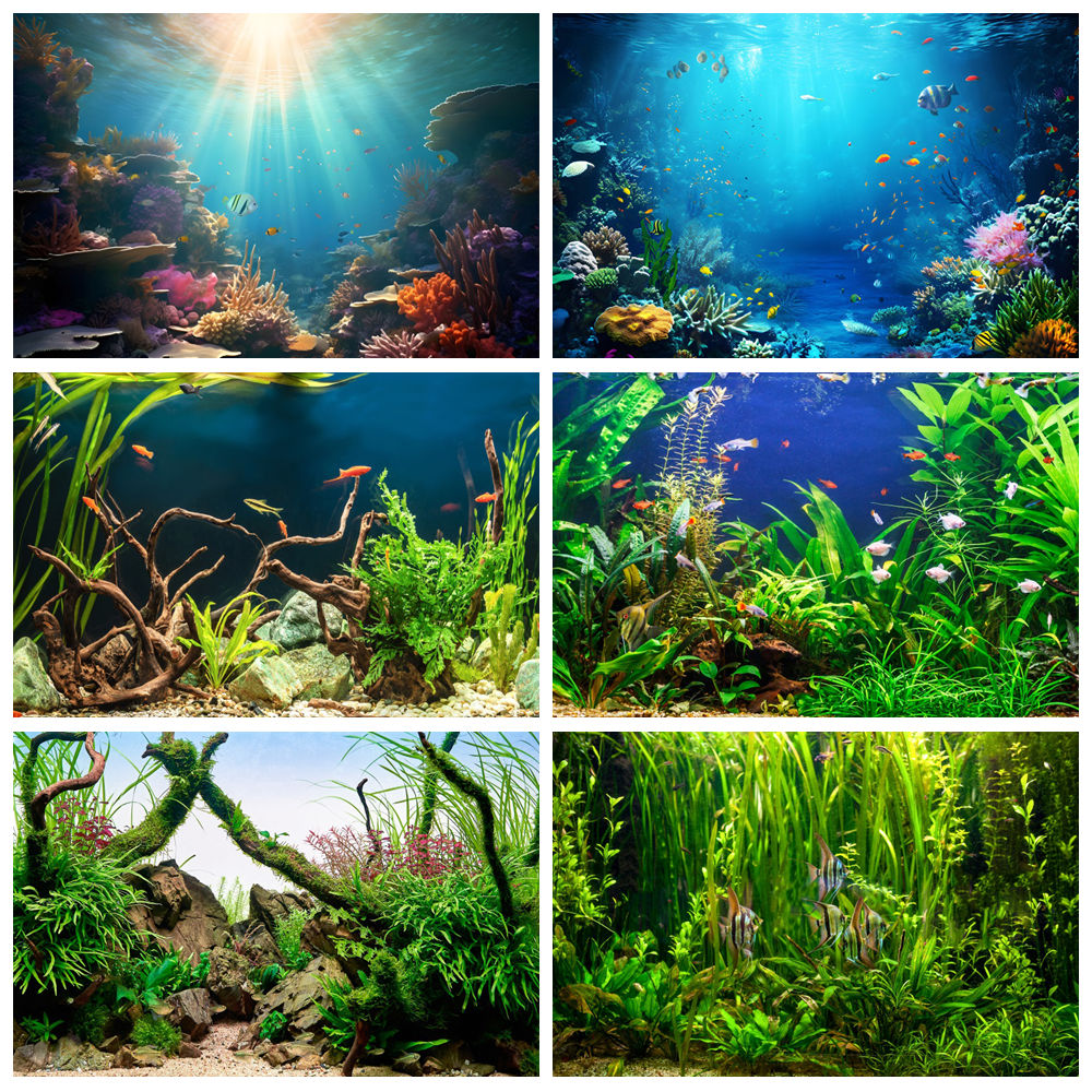 Fondo de fotografía del mundo  - Aquarium Marine World reseña y precio