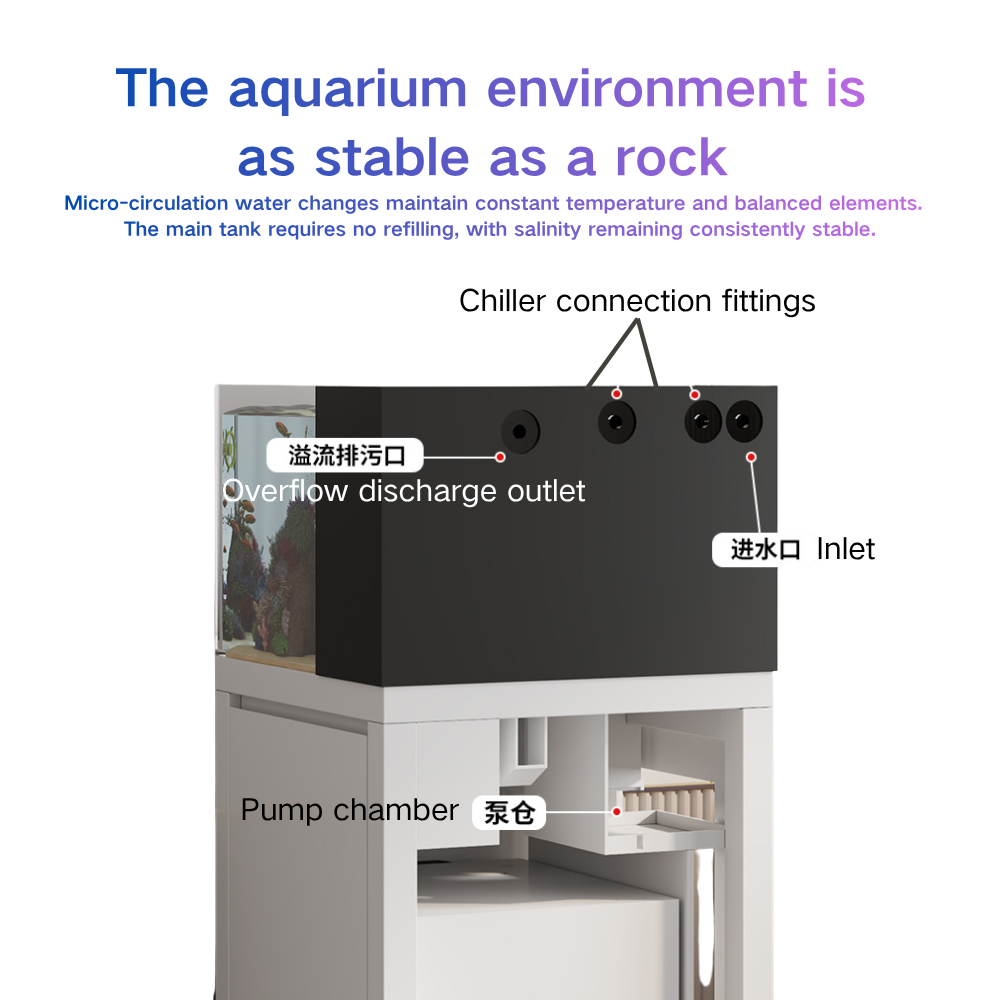 Pecera Inteligente Paopaoshark - Marine Aquarium Cube reseña y precio