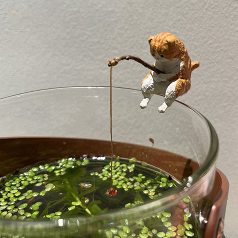 Pez de acuario, gato pescador  - Marine Fish Tank reseña y precio