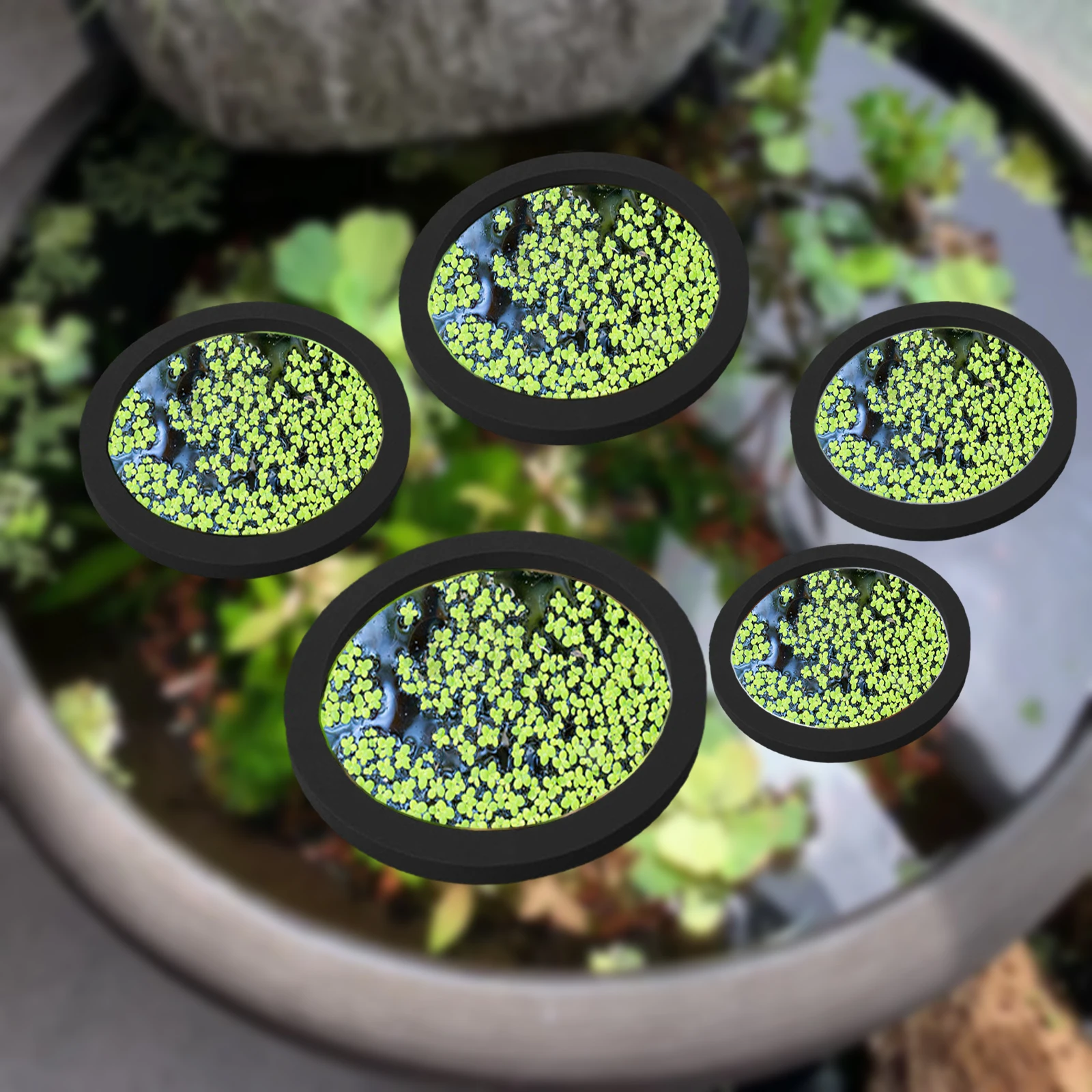 5 uds EVA anillo de alimentaci - Ocean Aquarium reseña y precio