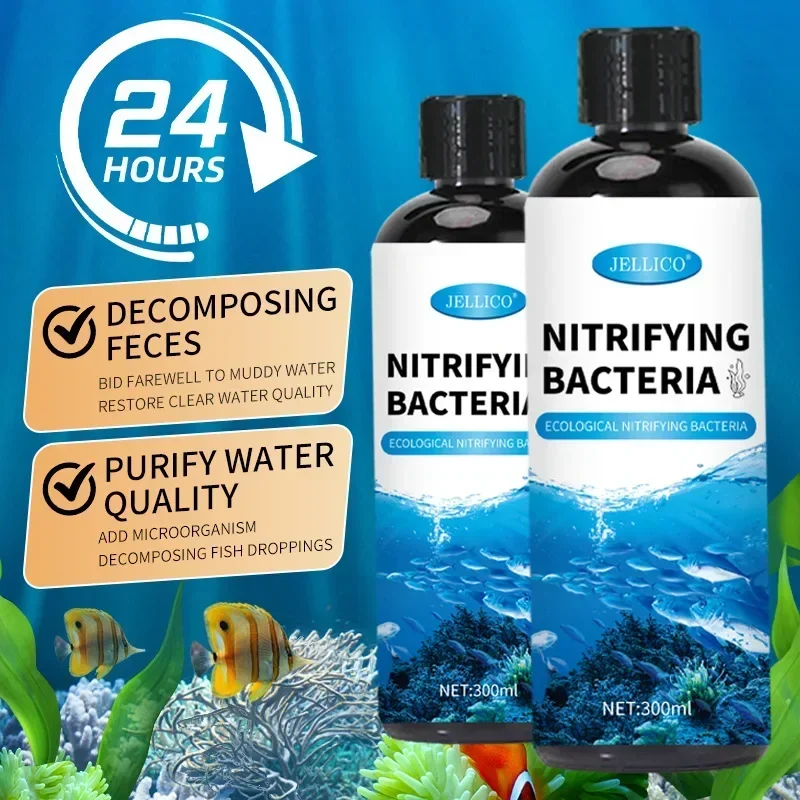Purificador de agua para pecer - Ocean Aquarium reseña y precio