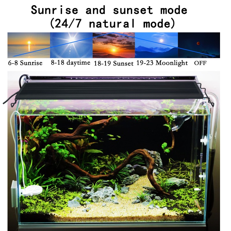 Lámpara LED para Acuario de Es - Reef Aquarium reseña y precio