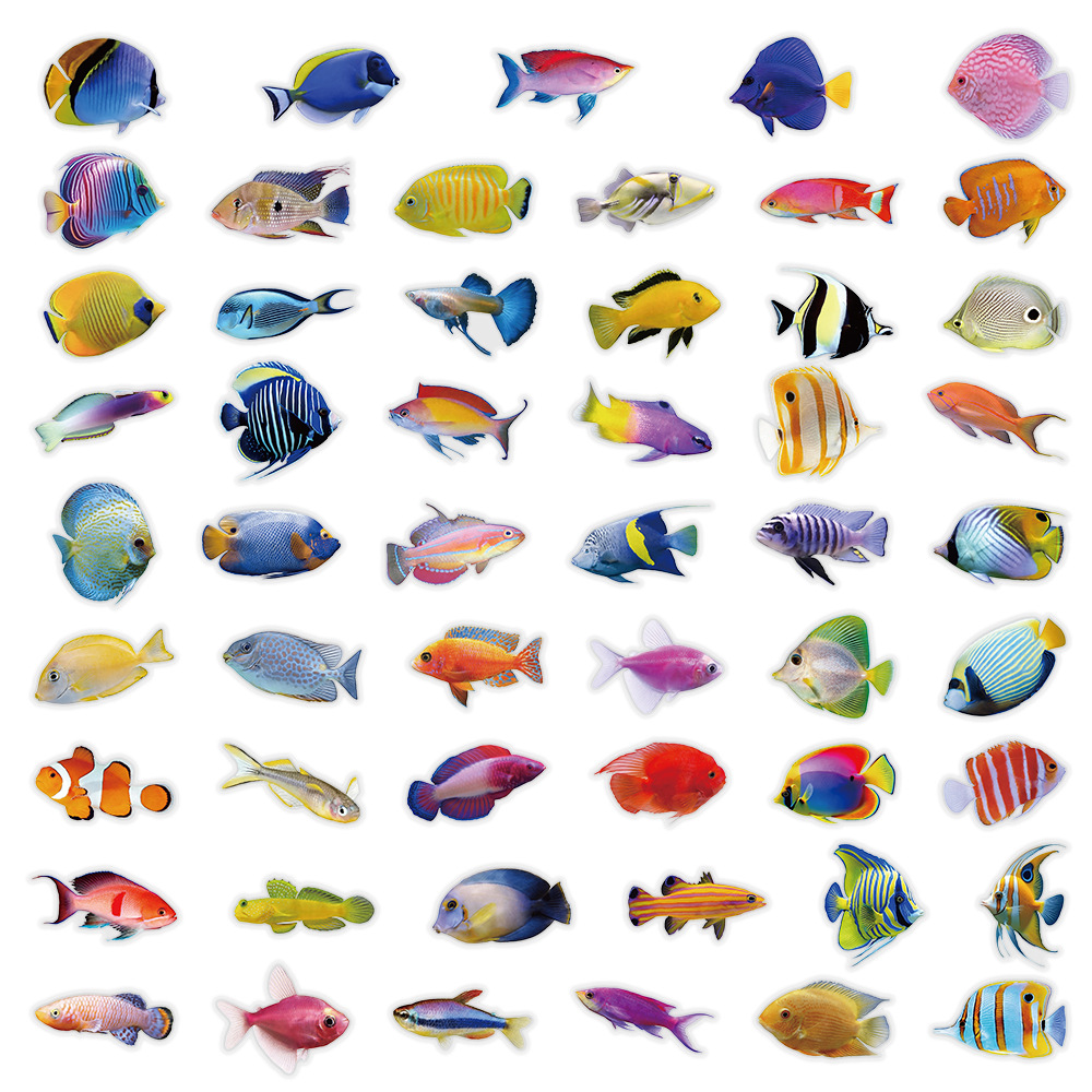 50-100PCS Pegatinas Transparen - Marine Coral reseña y precio