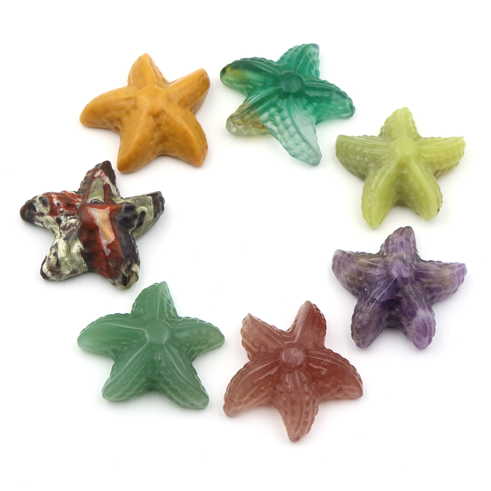 Estatua con forma de estrella  - Marine Aquarium reseña y precio