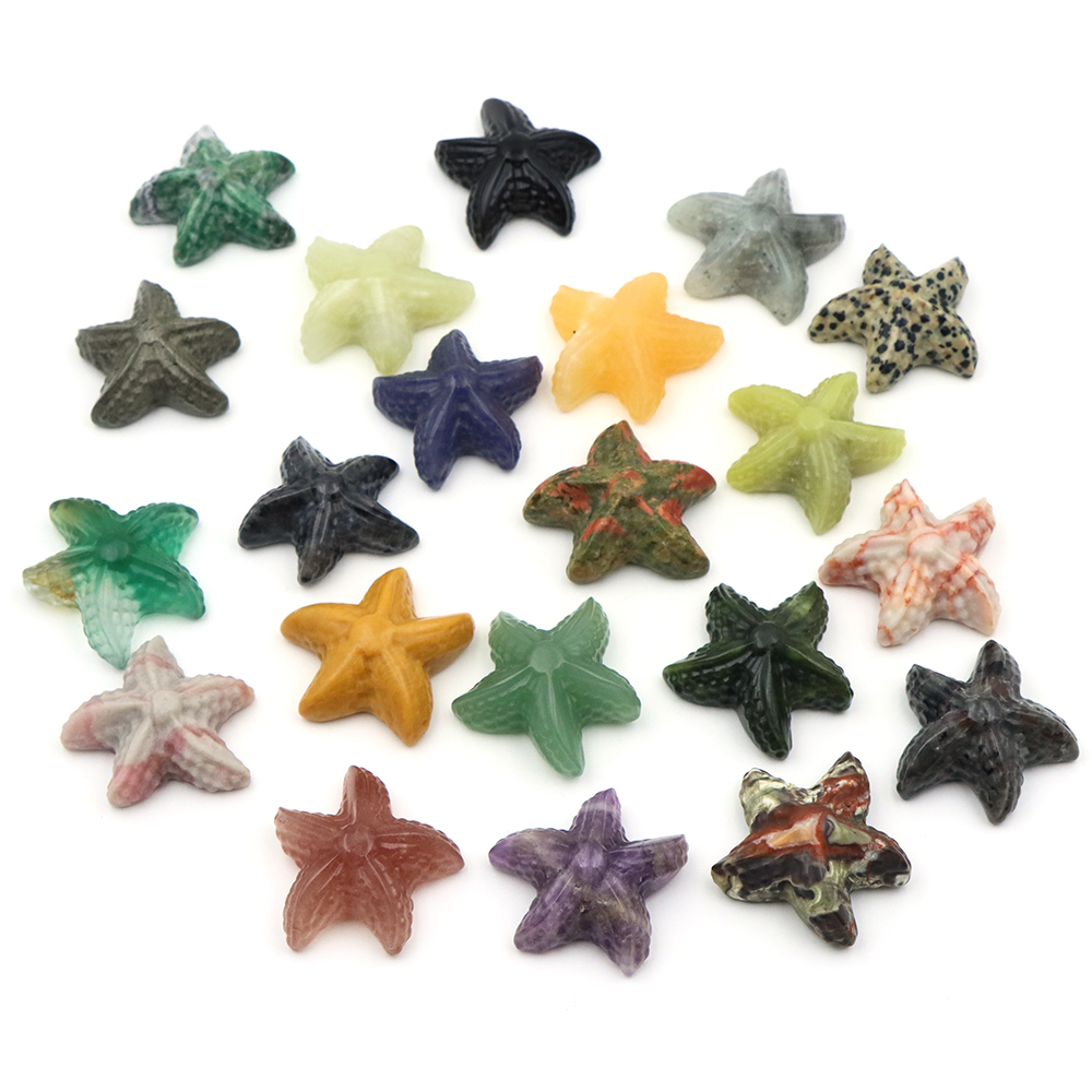 Estatua con forma de estrella  - Marine Aquarium reseña y precio