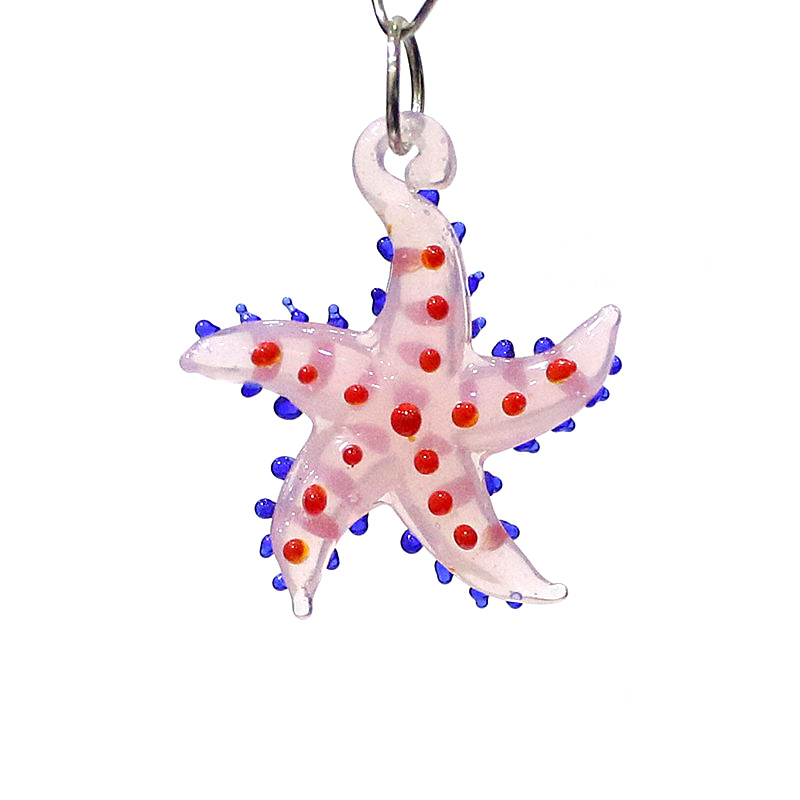 Lindo animal marino estrella d - Marine Aquarium reseña y precio