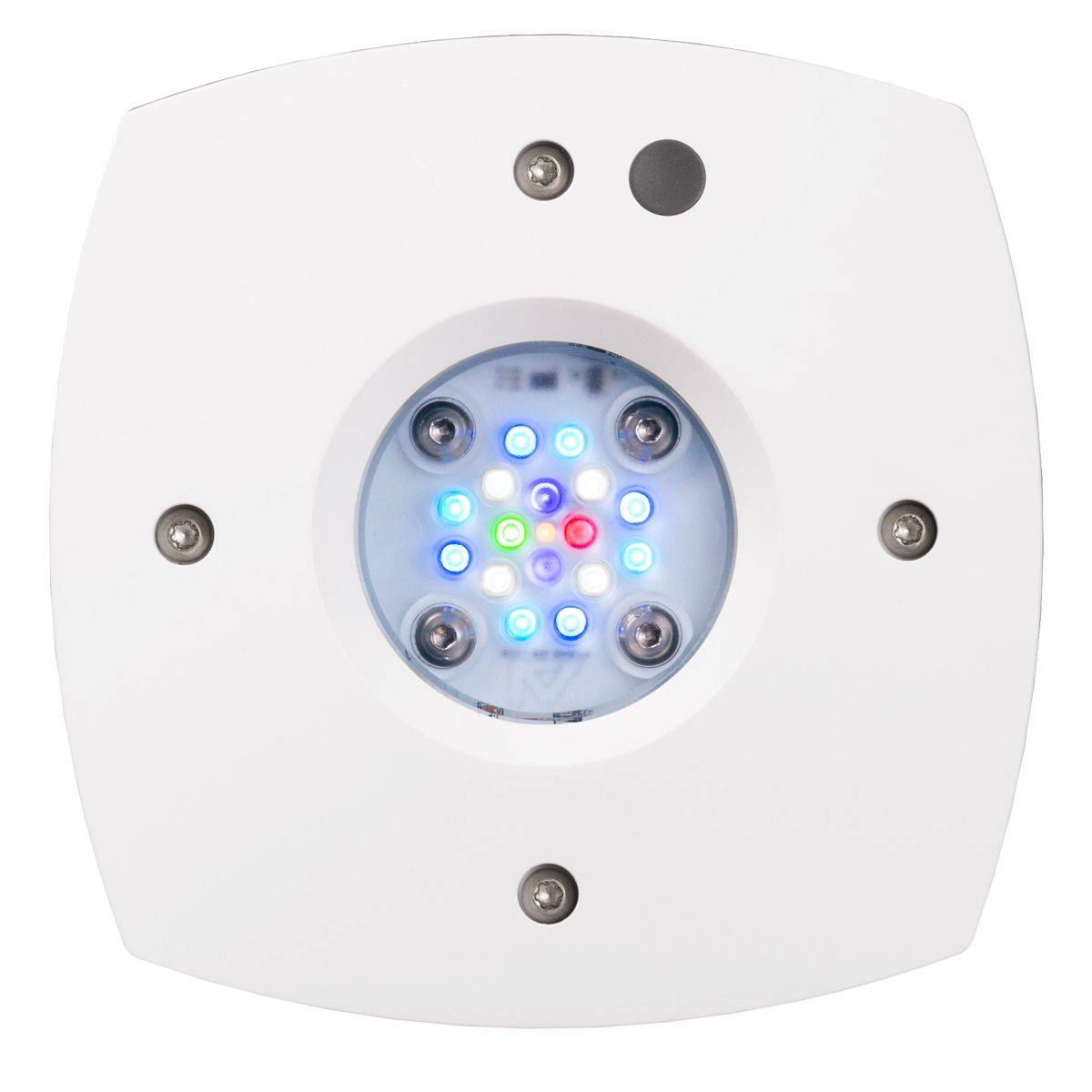 Luz de arrecife LED Prime 16 H - Reef Lighting reseña y precio
