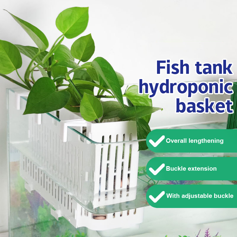 【F】Maceta colgante para acuari - Marine Aquarium reseña y precio