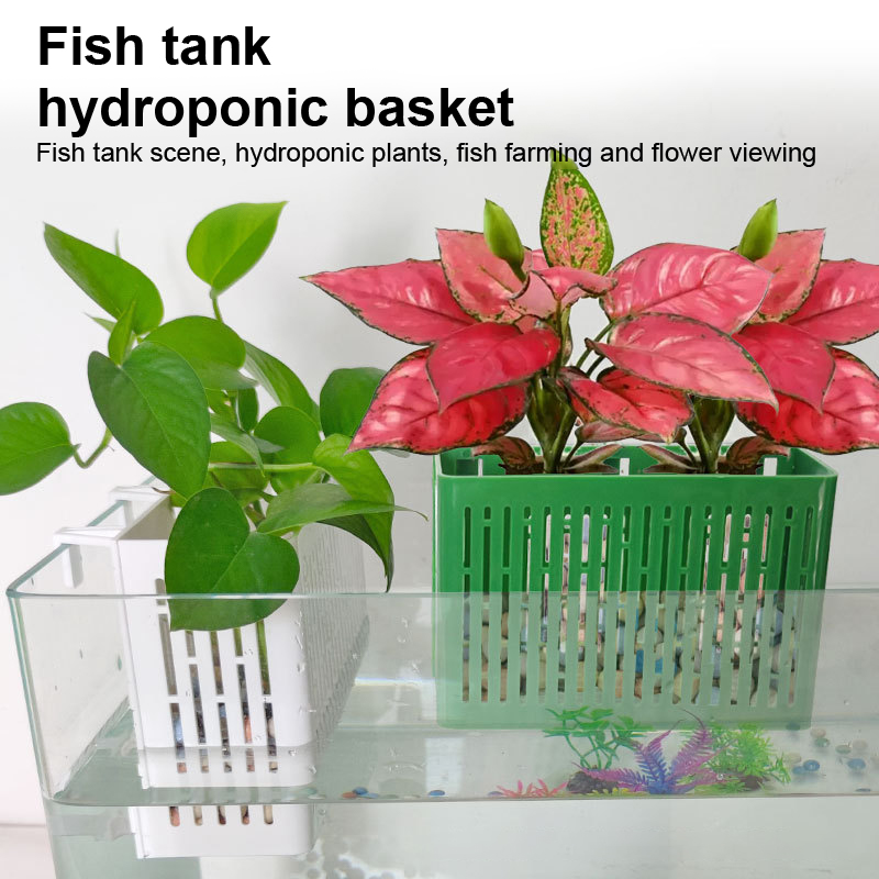 【F】Maceta colgante para acuari - Marine Aquarium reseña y precio